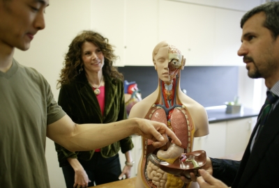 Organs